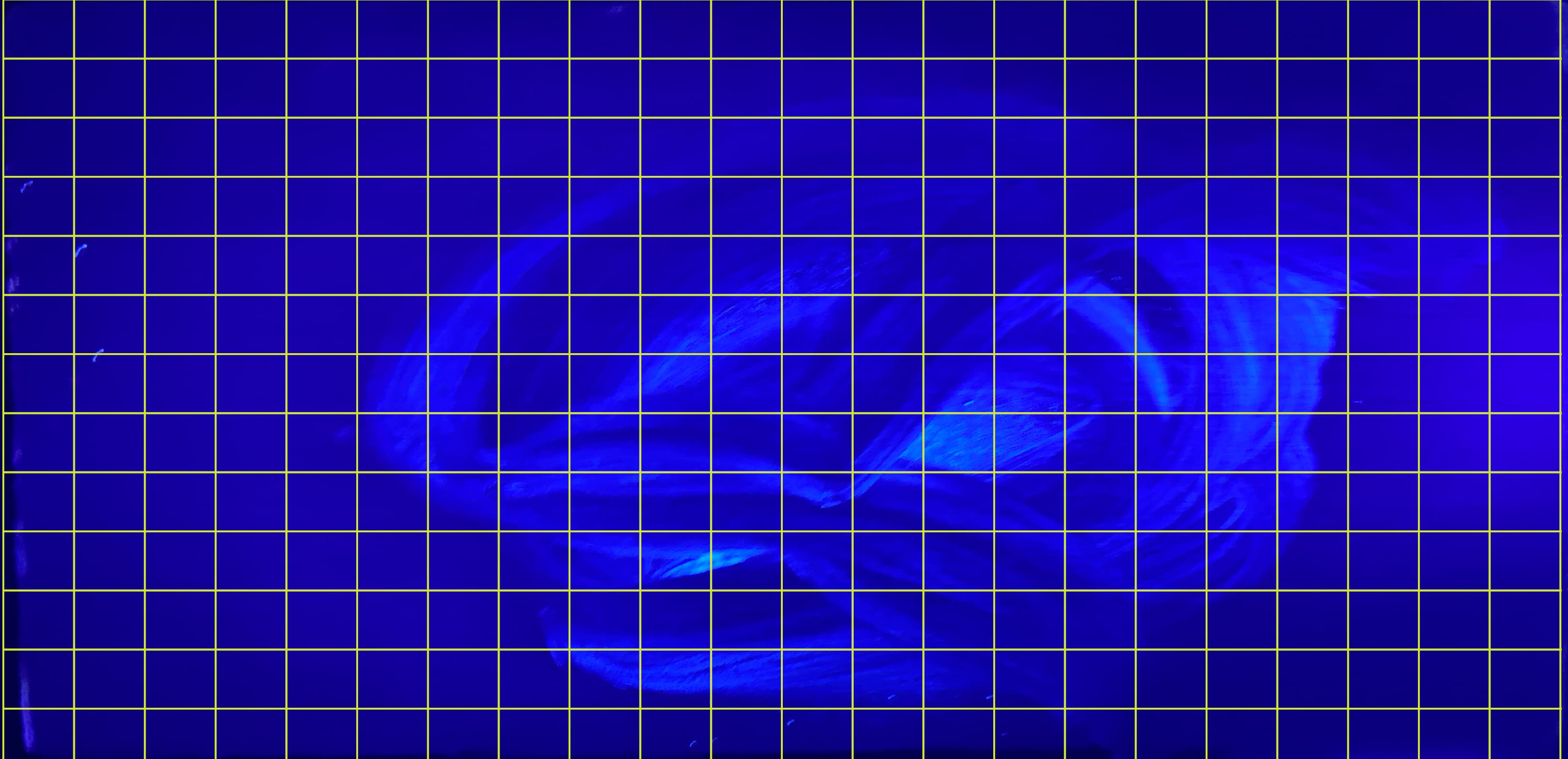 Wind Research Book Cover